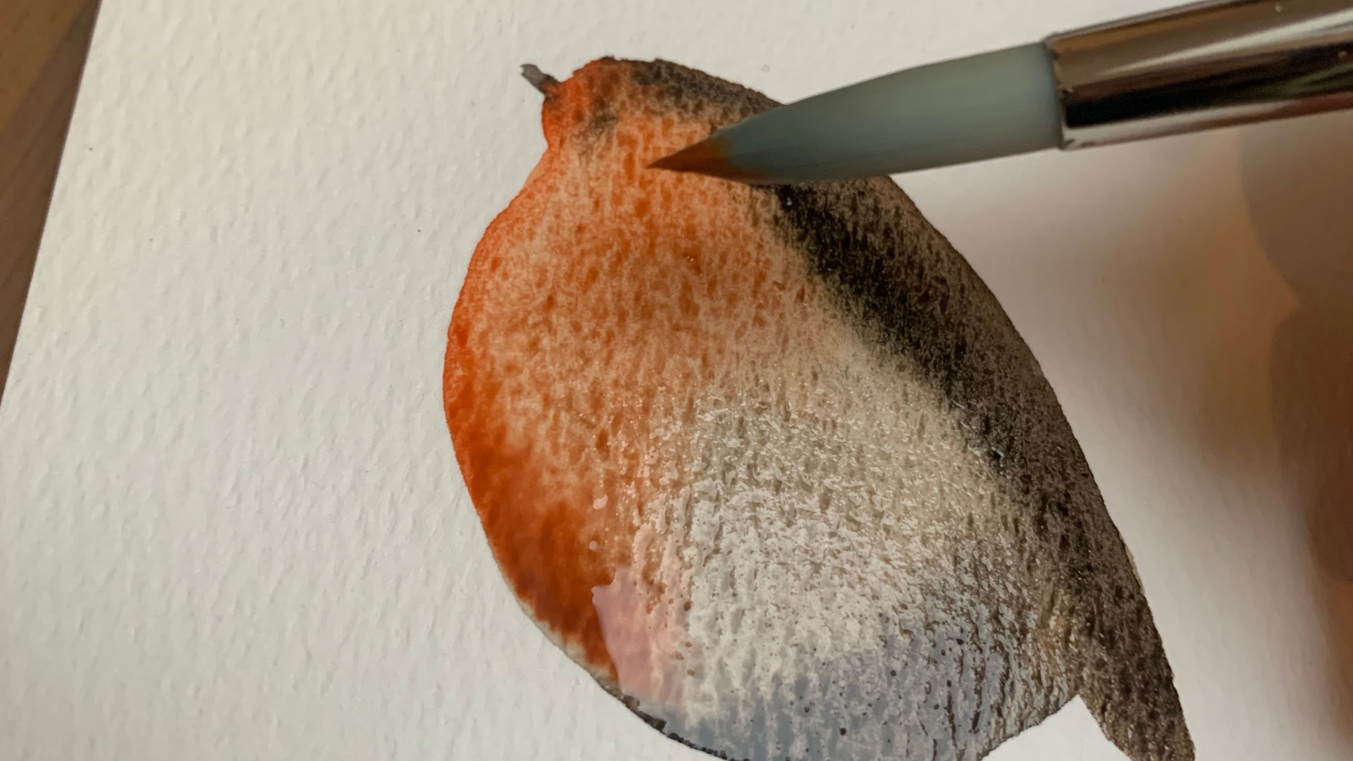 Pinceau peignant un oiseau à l’aquarelle