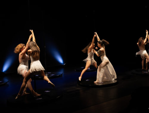Danseuses de Pole Dance lors d'une représentation, mêlant performance artistique, danse et expression corporelle.