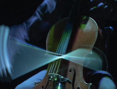 Gros plan sur un violon.