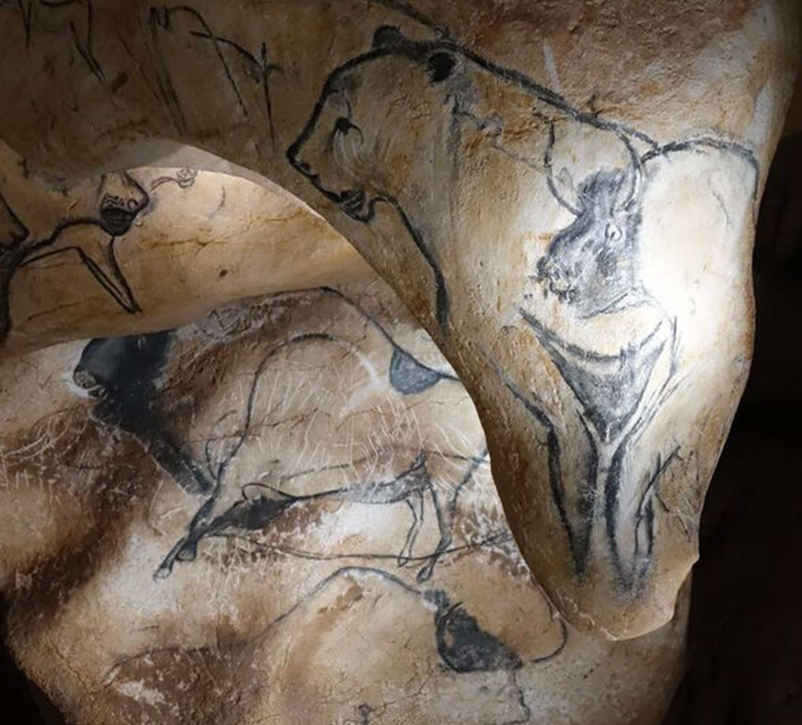 Visuel représentant différents motifs animaliers laissé par l'homme dans des grottes.