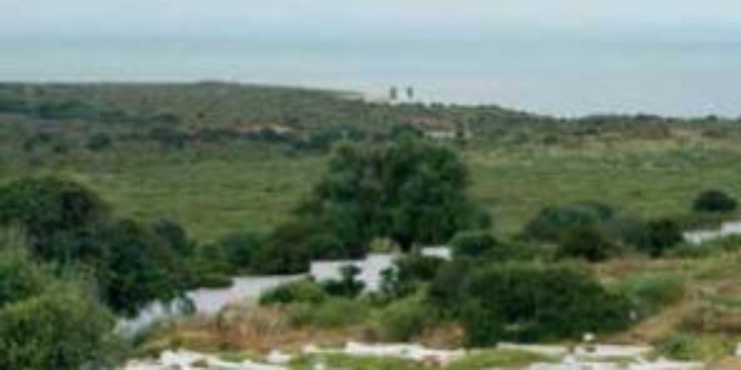 Aperçu de la projection du film avec un paysage de campagne