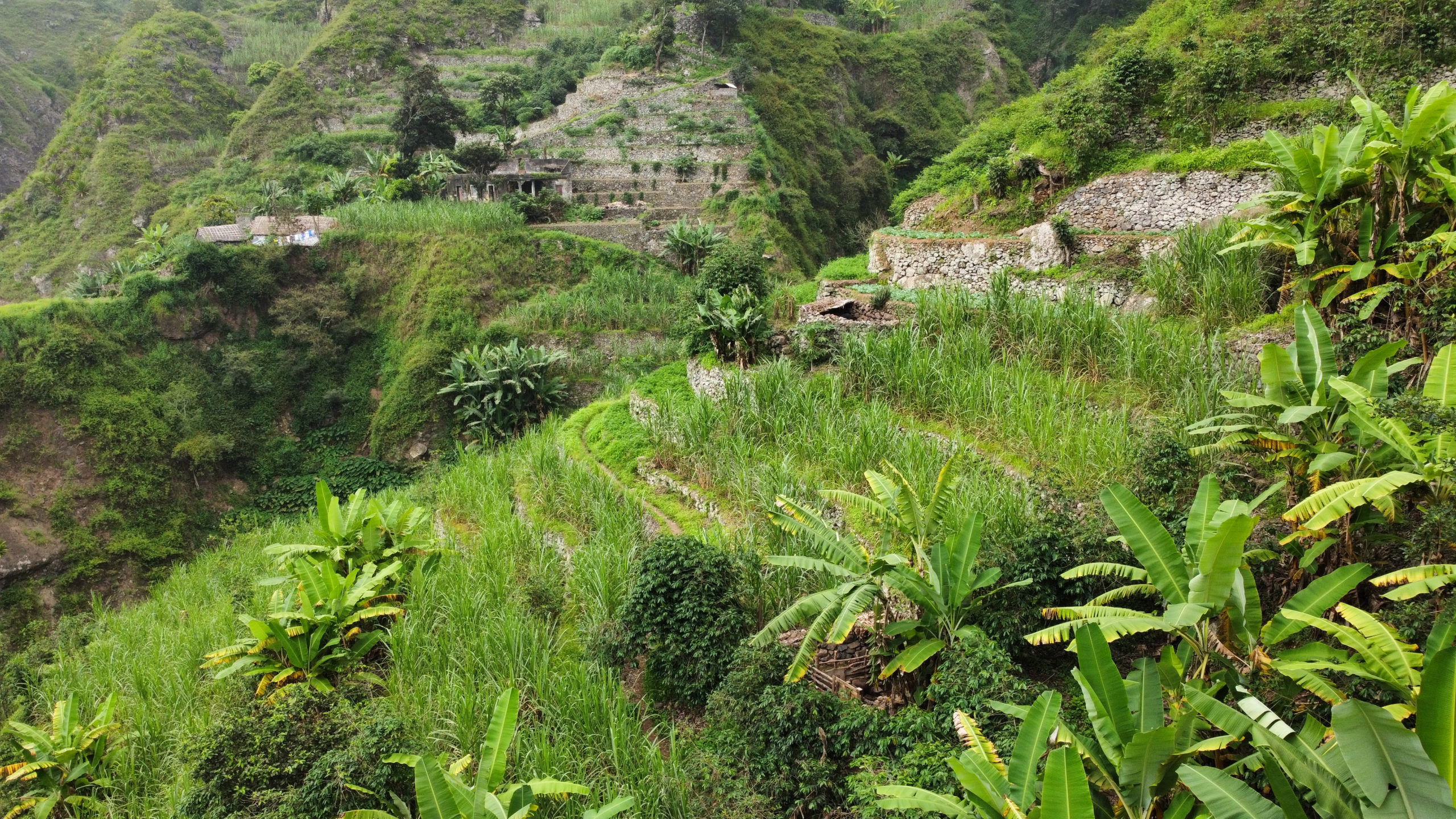 Paysage Cap Vert