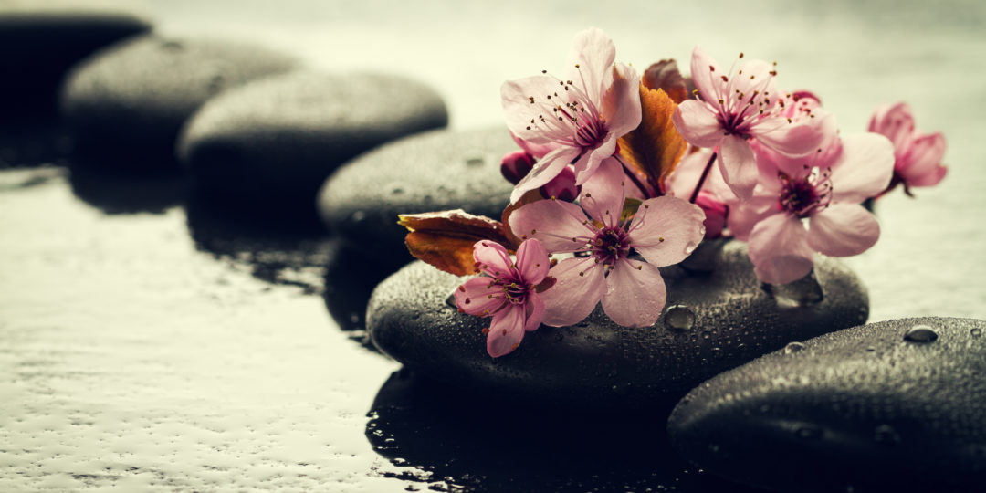Pierres de massage et fleurs roses symbolisant un atelier Ayurveda consacré au bien-être, à la relaxation et à l'équilibre du corps et de l'esprit.