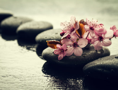 Pierres de massage et fleurs roses symbolisant un atelier Ayurveda consacré au bien-être, à la relaxation et à l'équilibre du corps et de l'esprit.