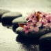 Pierres de massage et fleurs roses symbolisant un atelier Ayurveda consacré au bien-être, à la relaxation et à l'équilibre du corps et de l'esprit.