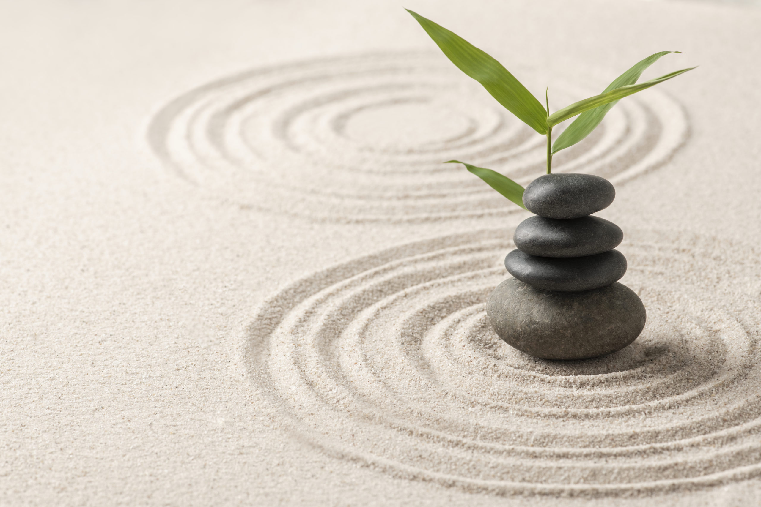 Galets empilés sur un jardin de sable zen avec une branche de bambou, symbolisant l'équilibre, le calme et un atelier de bien-être consacré à l'hiver, saison du Grand Yin.